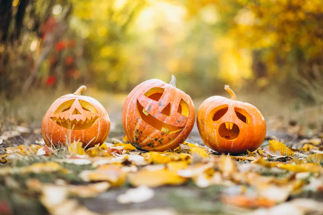 Halloween - gdzie kupić strój, by dobrze bawić się w ten czas?
