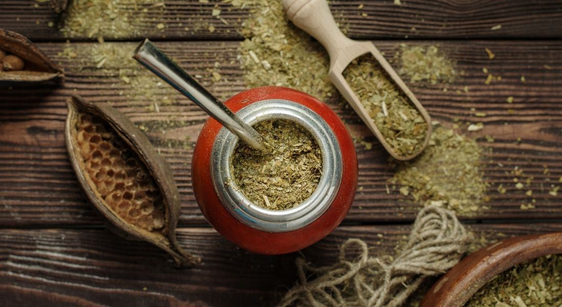 Yerba mate dla początkujących