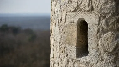 Cztery jesienne wycieczki pod Wrocławiem. Na liście pałace i góry