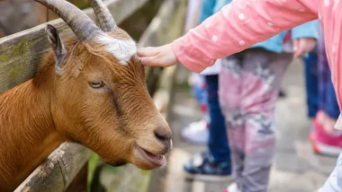 Lekcja w ZOO Wrocław kosztuje dodatkowo. Są cztery godziny do wyboru
