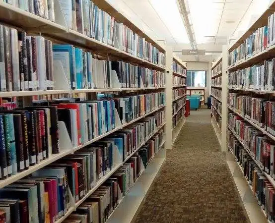 Muzyka bez paszportu: Music&Peace zaprasza na koncerty w bibliotekach Wrocławia