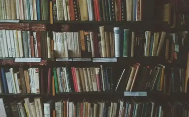 Jak miłość przestawia perspektywę w sztuce - Rauschenberg i Johns w bibliotece