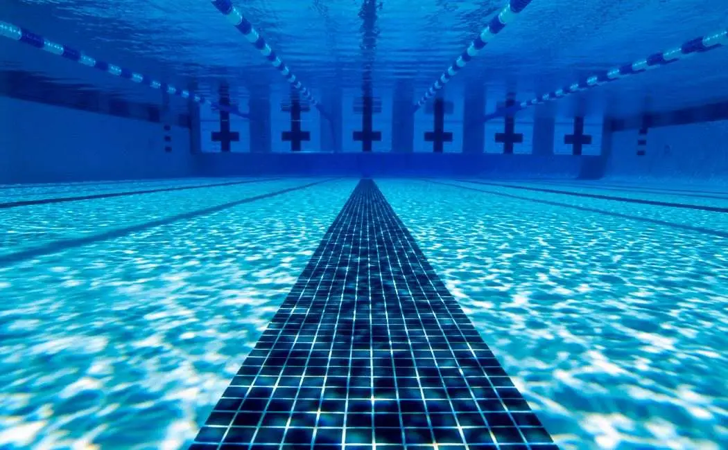 Rok współpracy z klubami sportowymi podsumowany w Młodzieżowym Centrum Sportu