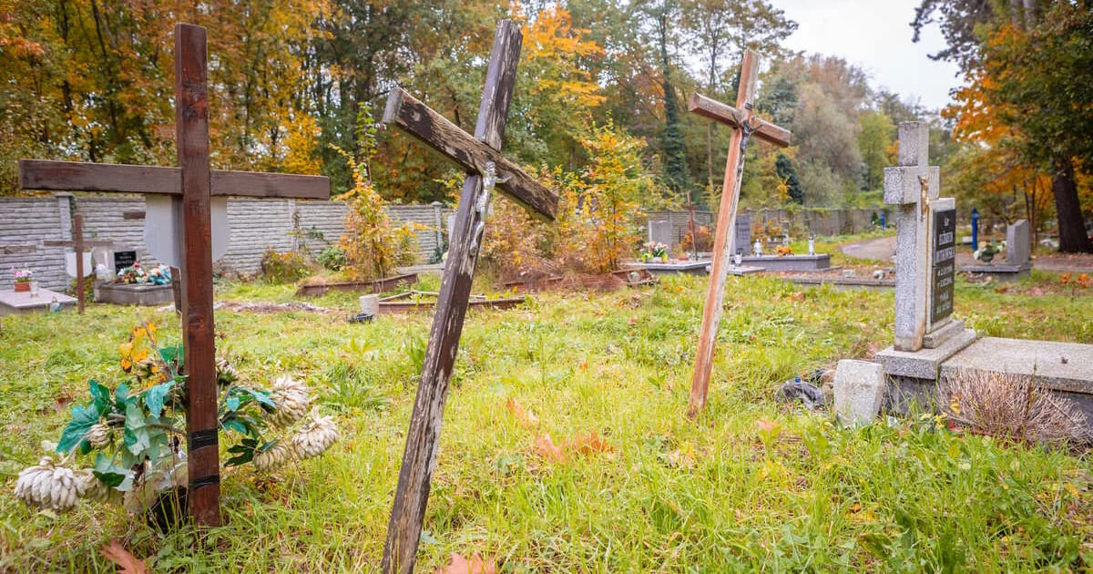 Grafika promocyjna wydarzenia Akcja „Groby niczyje” – wspólne sprzątanie zapomnianych grobów