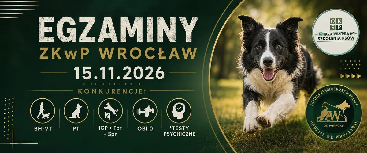 Grafika promocyjna wydarzenia Egzaminy ZKwP Wrocław: termin i miejsce
