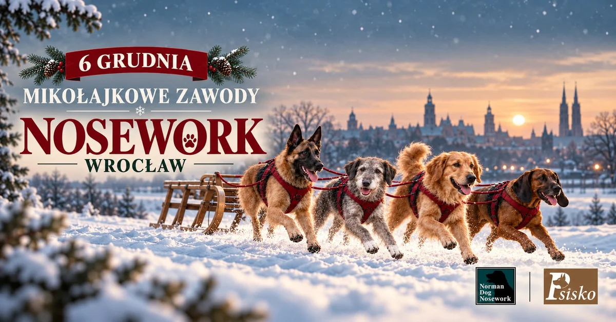 Grafika promocyjna wydarzenia MIKOŁAJKOWE ZAWODY NOSEWORK WROCŁAW: świąteczne ringi