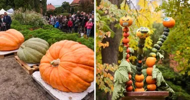 Grafika promocyjna wydarzenia XXIII Dolnośląski Festiwal Dyni 2026