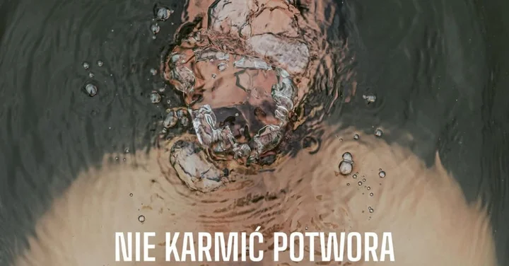 Obrazek przedstawia grafikę promocyjną wydarzenia Spektakl o depresji dla widzów od 12. roku życia — „Nie karmić potwora”