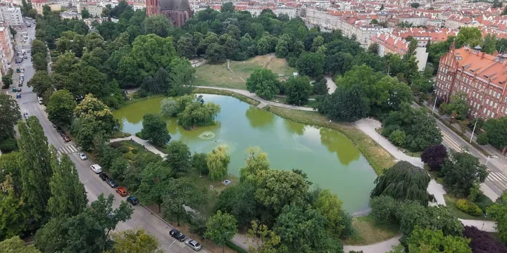 Park Tołpy na Ołbinie przejdzie odświeżenie. Powstaną nowe miejsca nad stawem