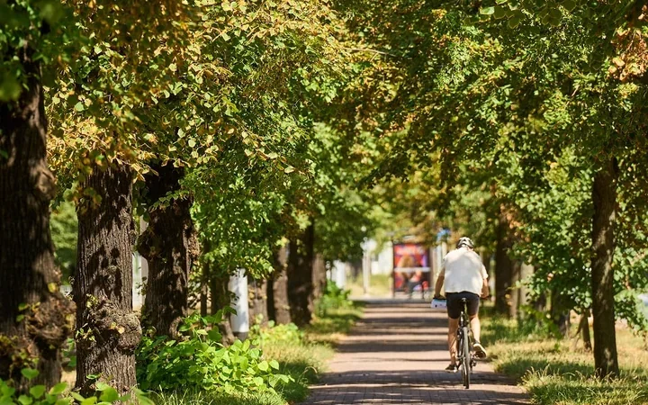 Wiosenny impuls dla wrocławian – startuje 8. edycja rywalizacji W Kółko Kręcę