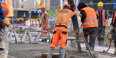 Pod nowym węzłem we Wrocławiu powstanie miejsce dla 11 drzew