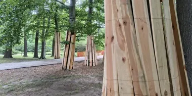 Deski przy drzewach w Parku Szczytnickim. To początek większych prac