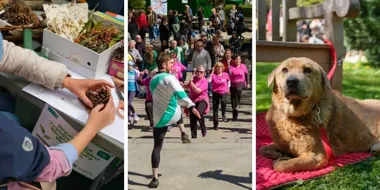 Wrocławski piknik udowodnił jedno. Ekologia może bawić