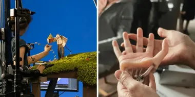 „Jeleń” z Wrocławia powstawał klatka po klatce. Sekunda wymagała 24 zdjęć