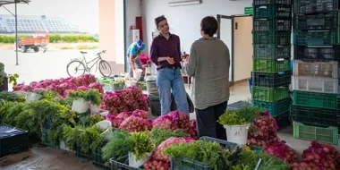 Od grządki do talerza. Wrocławska farma karmi i uczy dzieci