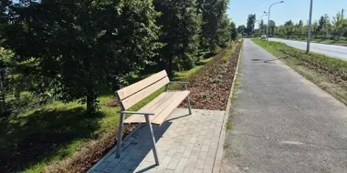 Ponad 6 tysięcy roślin na Morwowej. Zielony efekt przyjdzie później