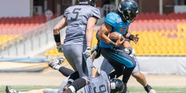 Panthers Wrocław w finale PFL. Na Stadionie Olimpijskim czeka hit sezonu