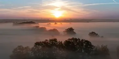 Pola Osobowickie mają odzyskać wodę. Powstanie zbiornik i wyspa dla ptaków