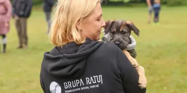 Piknik z adopcją w tle. Na Grabiszynie psy będą szukać domów