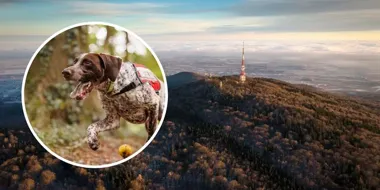 Na Ślęży pojawią się psy, drony i quady. To tylko ćwiczenia służb