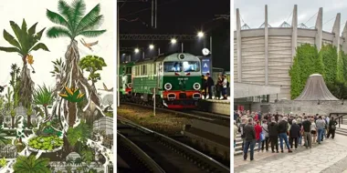 Siedem miejsc na Noc Muzeów we Wrocławiu. Od organów po lokomotywy