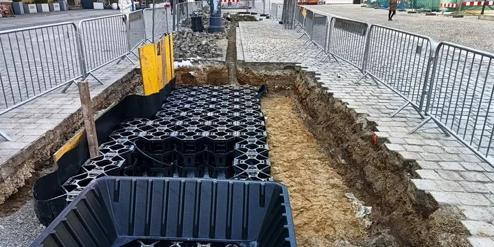 Rynek nabiera zieleni – systemy kompensacyjne dają korzeniom więcej przestrzeni