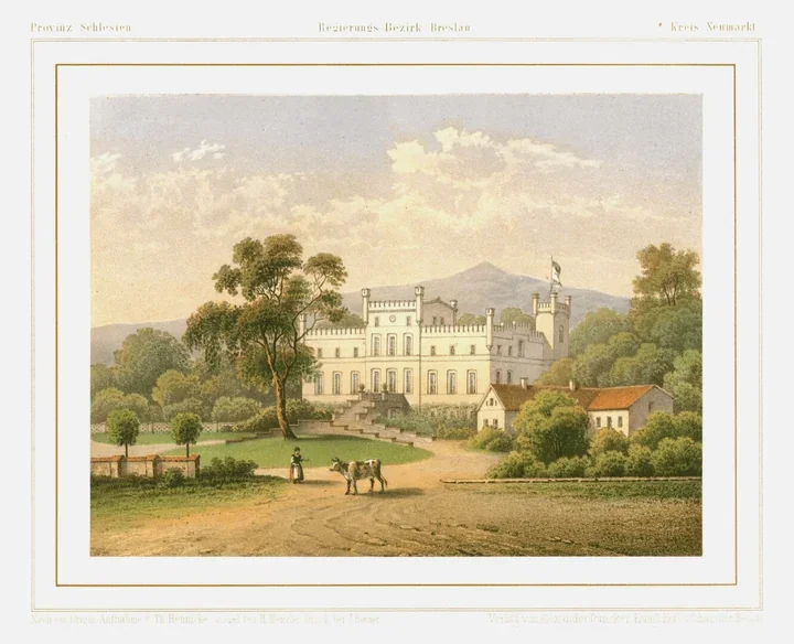 Ruiny pałacu w Mietkowie – pałac, krowy Pinto i tajemnice skrytki konserwatora