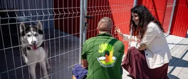 Ulica Beethovena po remoncie. Teren pogórniczy z nową funkcją